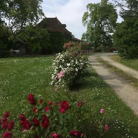 Le Petit Duc Gans