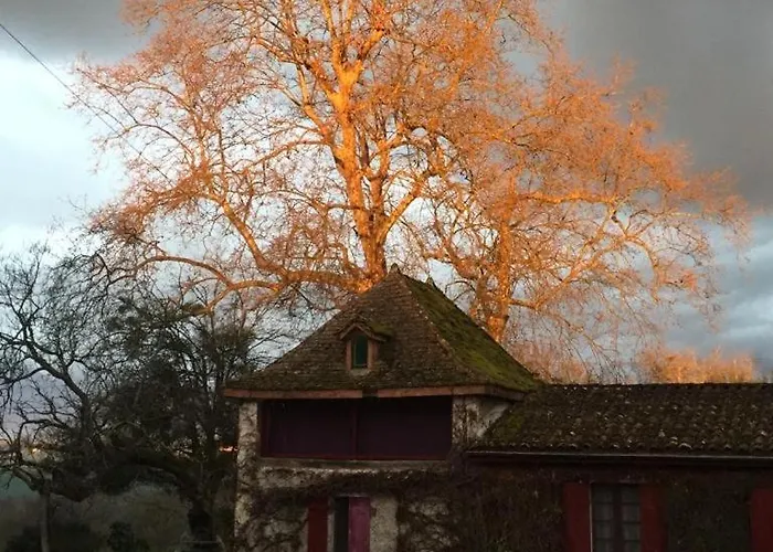 Дом отдыха Le Petit Duc