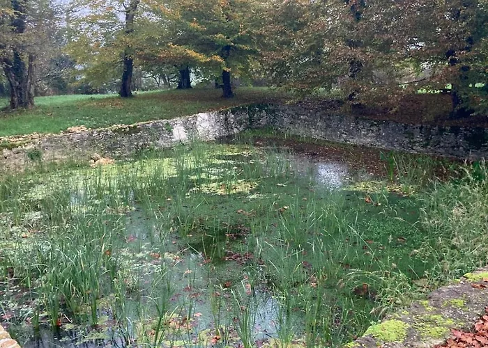 Le Petit Duc * Ган